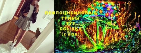 индика Белоозёрский
