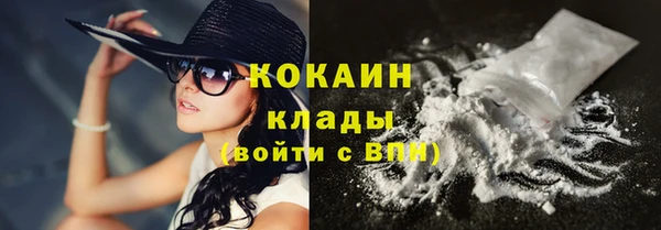 индика Белоозёрский