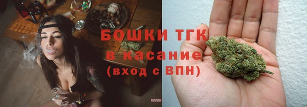 индика Белоозёрский