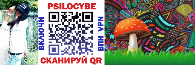 Псилоцибиновые грибы Magic Shrooms  продажа наркотиков  Пионерский 